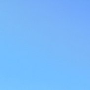 �����, 32 ����, ������