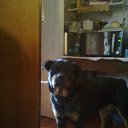 ���� ���������, ������, 45 ��� - ��������� 23 ������ 2023