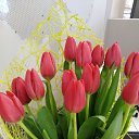 ���� �������, ������, 58 ��� - ��������� 2 ����� 2026 � ������ ���� ����������