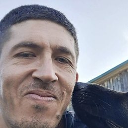 ����, �����-���������, 36 ���