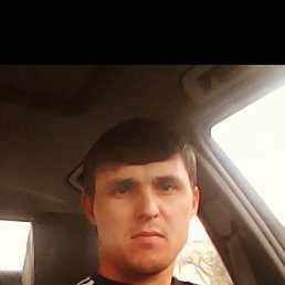 , 41, 