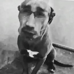 , , 22 
