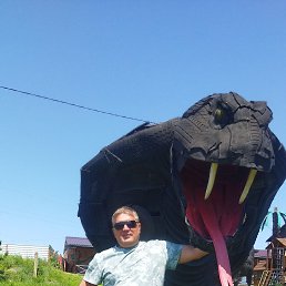 , 46, 
