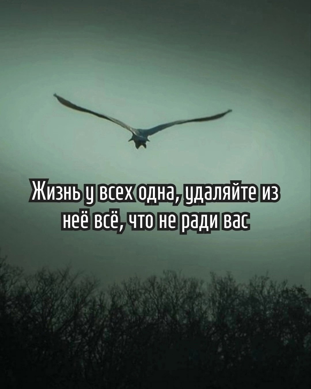  - 1  2025  07:26