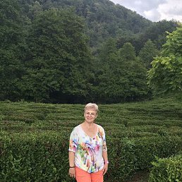 , 58, 