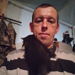 ���� �������, 39 ���, ���������