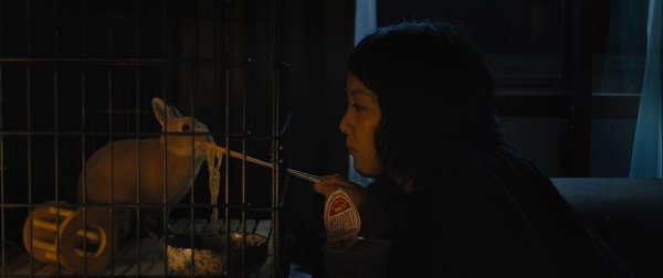 ������ � �������� �� ����������� / Kumiko, the Treasure Hunter, 2014.���. David Zellner - 2
