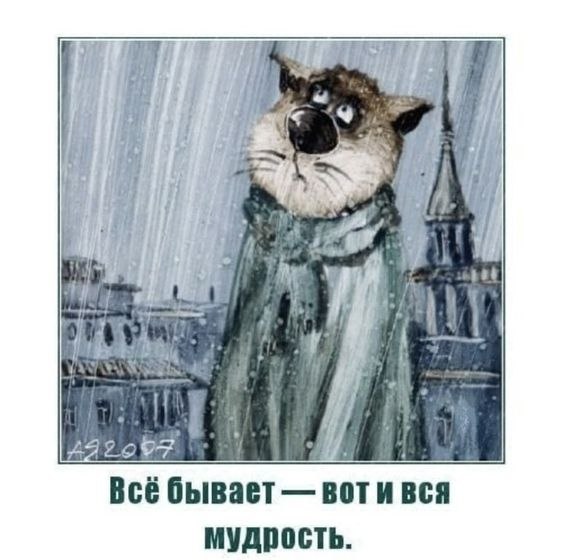 ������������� ���� - 27 ����� 2026 � 20:06