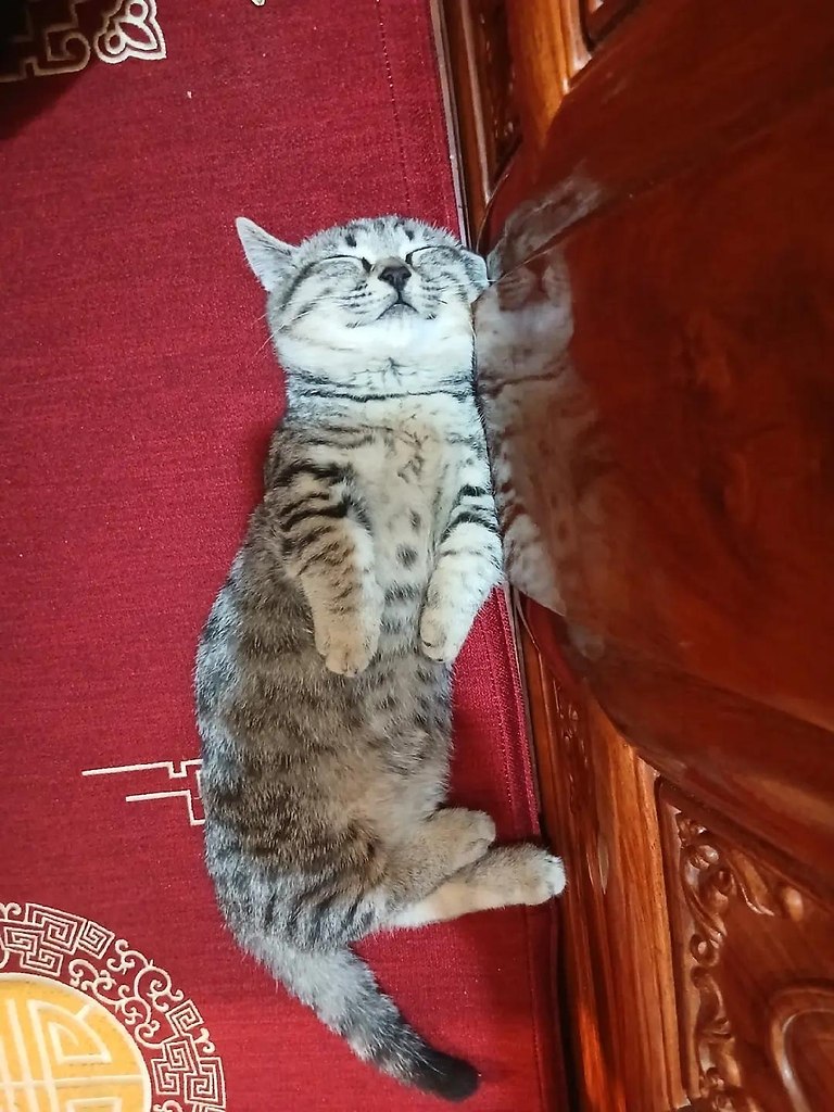 ������ ������ ����� - 3