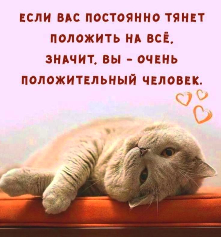   - 26  2025  23:04
