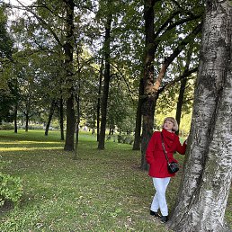 ���� ��������, �����-���������, 49 ��� - ��������� 20 ������ 2026