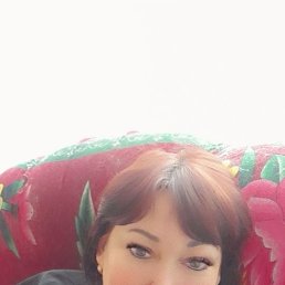 ���� �����, �����, 52 ���� - ��������� 1 ������� 2024