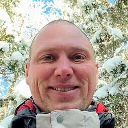 ���, �������, 41 ���