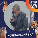 ���� �������, �������, 49 ��� - ��������� 28 ����� 2026 � ������ ���� ����������