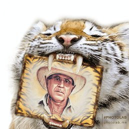 ��������, ��������, 75 ���