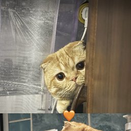 ���� ���������, ������, 25 ��� - ��������� 28 ���� 2025