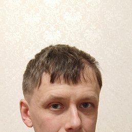 �����, ������, 41 ���