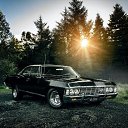 ���� ���������, �����, 34 ���� - ��������� 3 ��� 2026