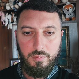 ����, �������, 38 ���