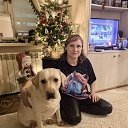 ���� �����, ��������, 41 ��� - ��������� 30 ������ 2026 � ������ ���� ����������