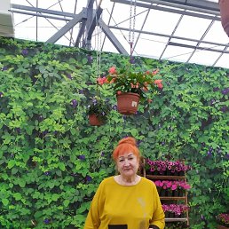 ���� �������, ������, 66 ��� - ��������� 8 ������� 2026