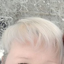 ���� ������� ����������, ���������, 57 ��� - ��������� 7 ������ 2026