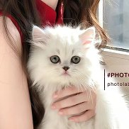, 18 , 