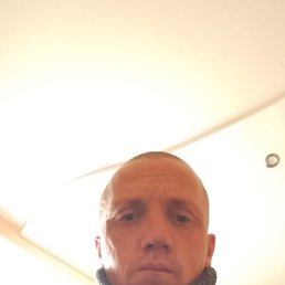 , 41, -