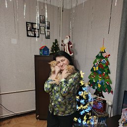 �������, ��������, 62 ����