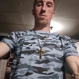  , 41 , 