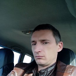 , 41, 