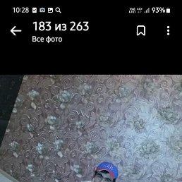 ����, ������, 37 ���