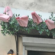 ���������, 36 ���, �����-���������