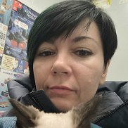 �������, 44 ����, ��������