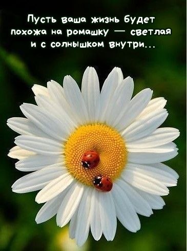   - 27  2025  18:38