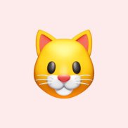 �����, 40 ���, �����