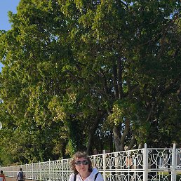 �����, ������, 62 ����