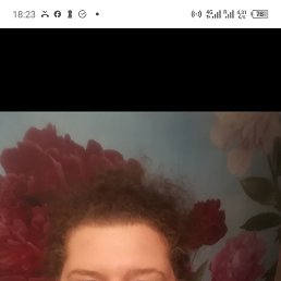 ���� �����, �����, 45 ��� - ��������� 11 �������� 2026