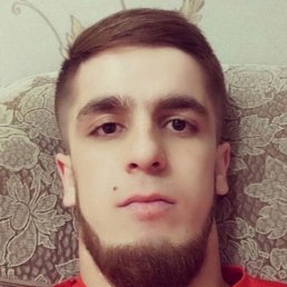 Salamon, ������, 29 ���