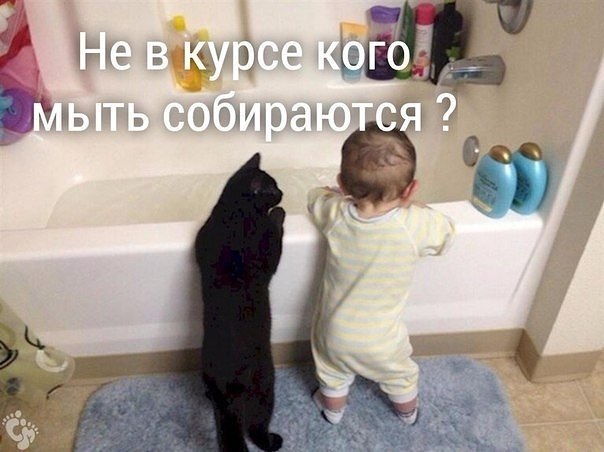   - 2  2025  12:59