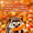  , -- -  14  2024    