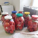 ���� ��������, ������������, 55 ��� - ��������� 26 ����� 2026