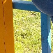 , 35 , 