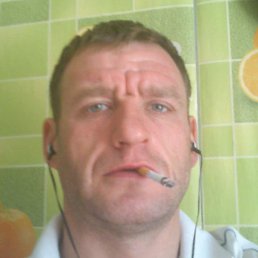 ������, �������, 44 ����