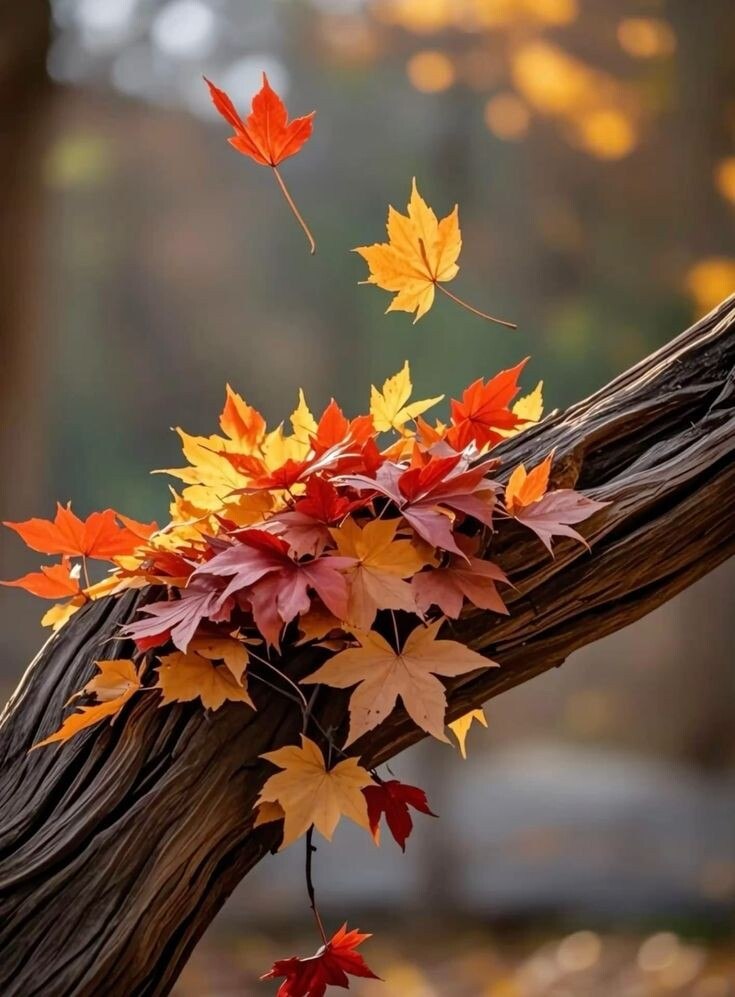   ,   .     .    ,   ,  ...