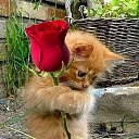 ���� ������, ������, 69 ��� - ��������� 29 ������� 2025 � ������ ������ ��������