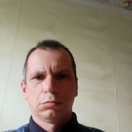 , 41, 