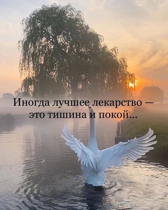  - 15  2025  08:13