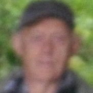 ���������, 77 ���, ������