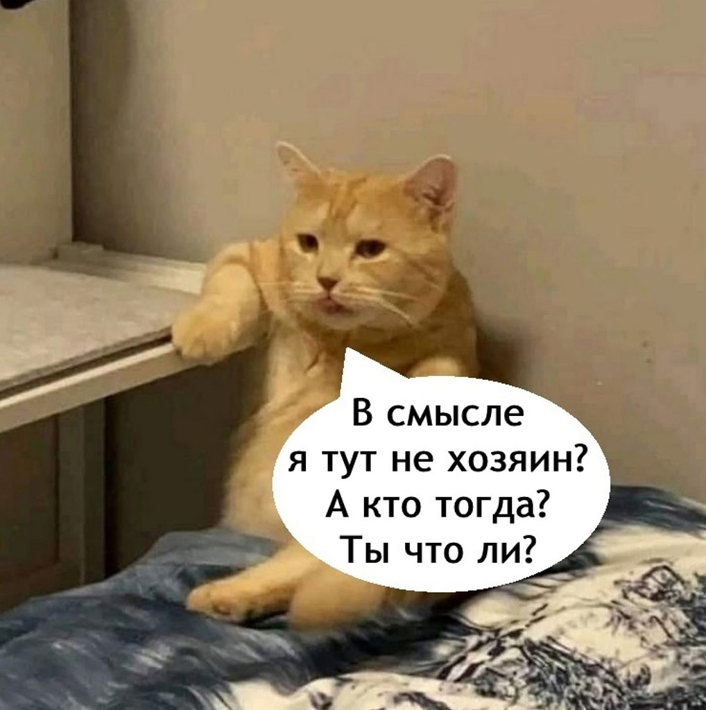   - 28  2025  15:11 - 2